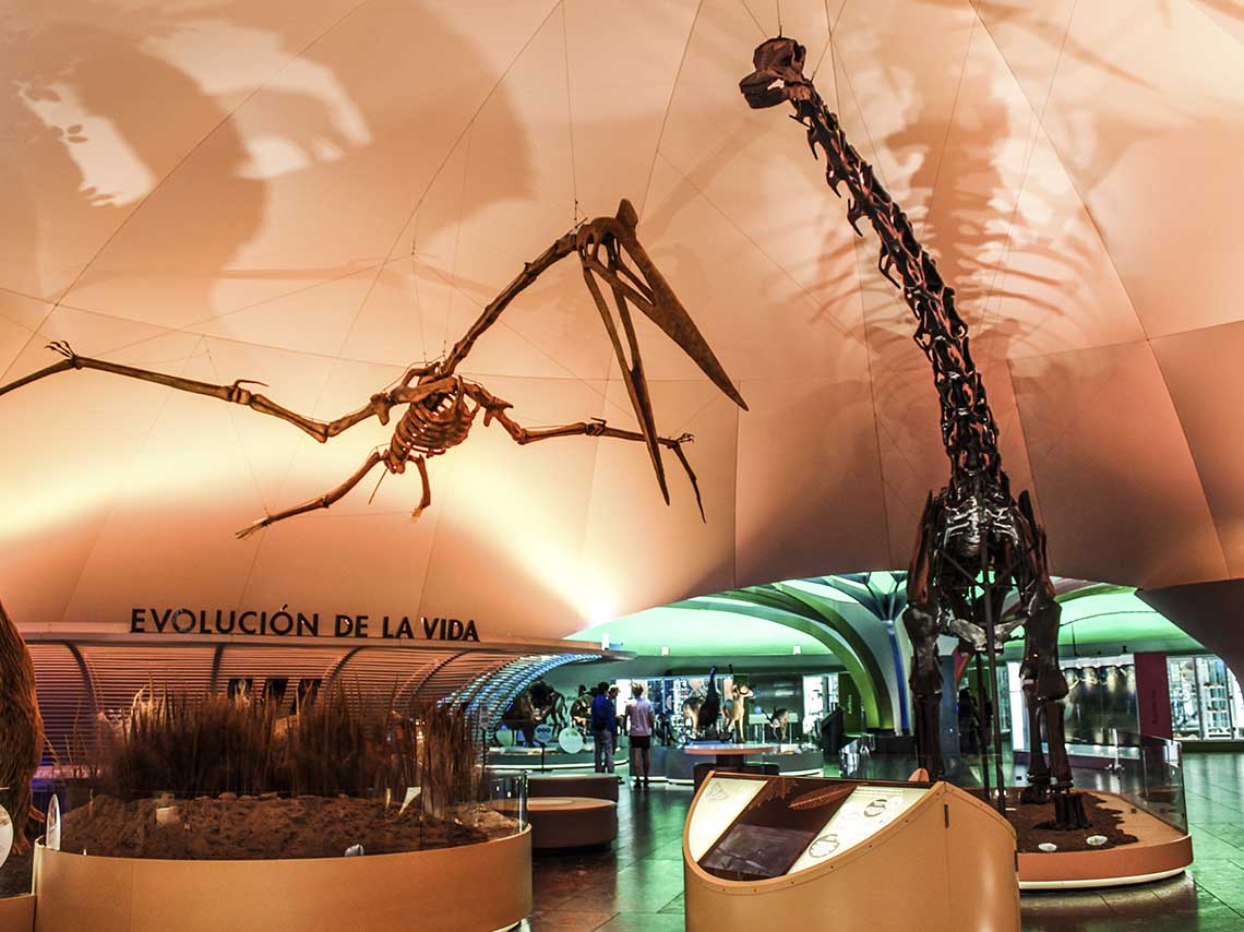 Museo de Historia Natural