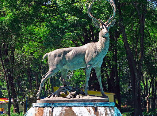 Parque de los Venados