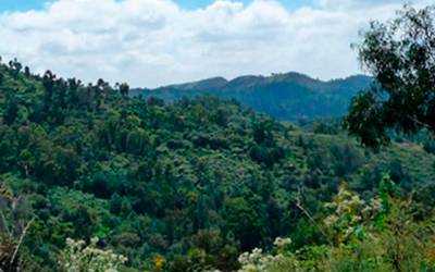 La Armella, Zona de Conservación Ecológica