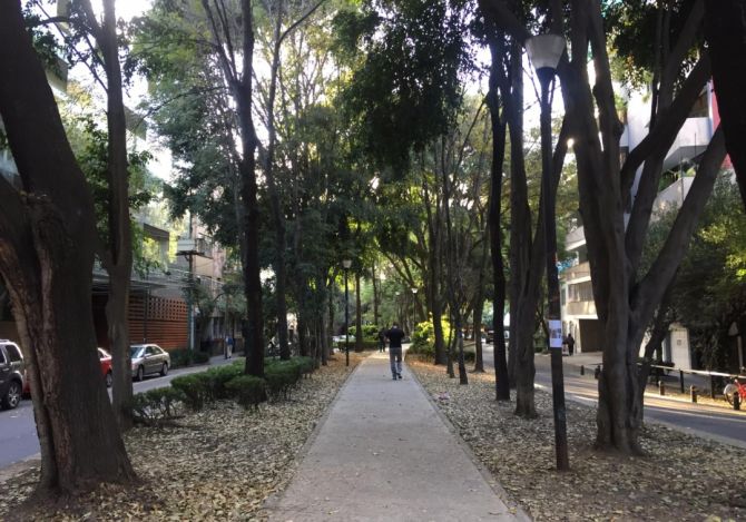 Calle Amsterdam, Ciudad de México