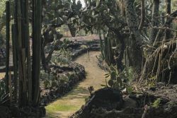 Jardín Botánico UNAM.jpg